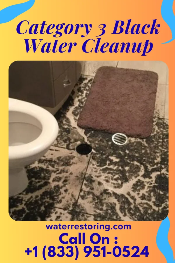 Category 3 Black Water Cleanup in Madison, SD